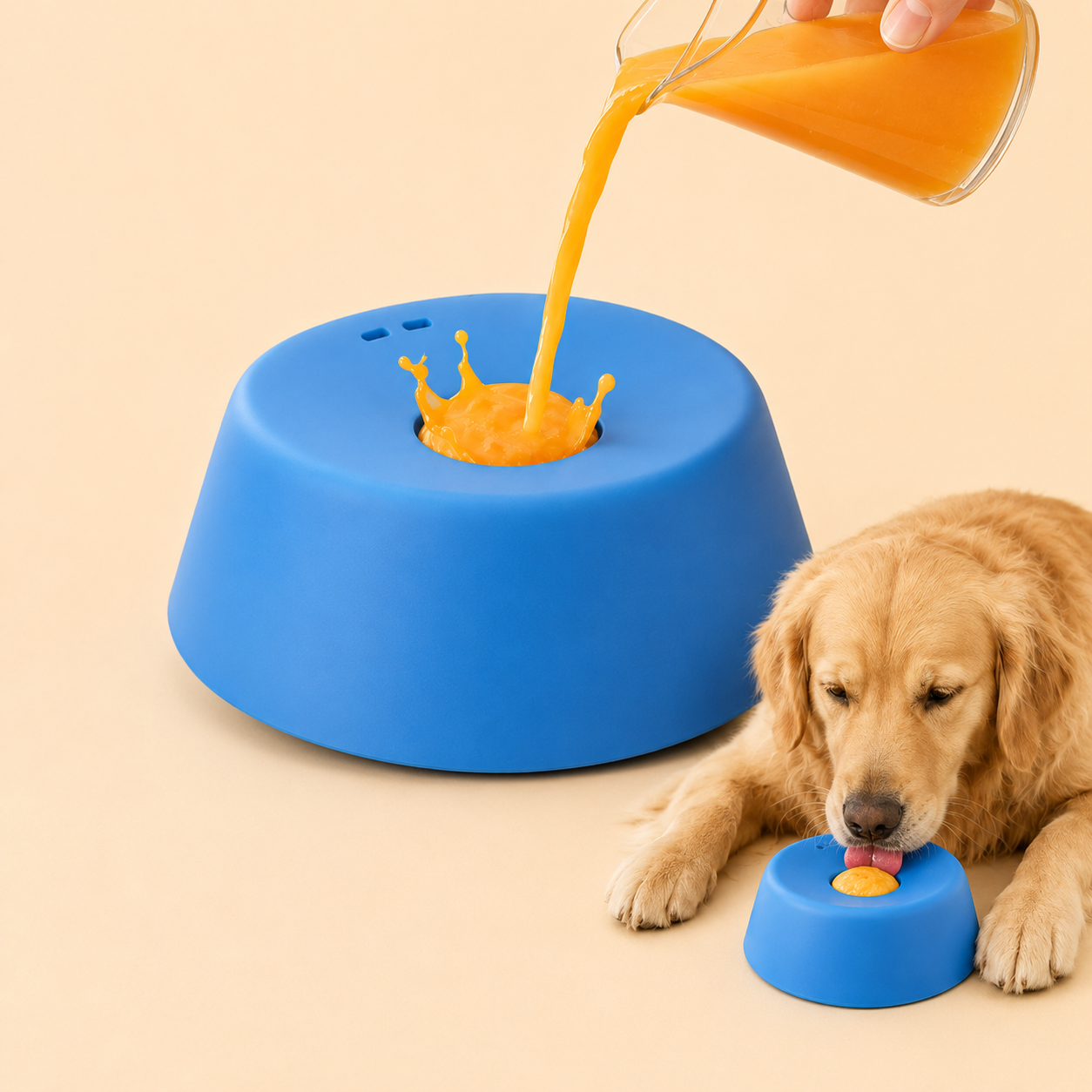 Interactive Enrichment Lick Bowl